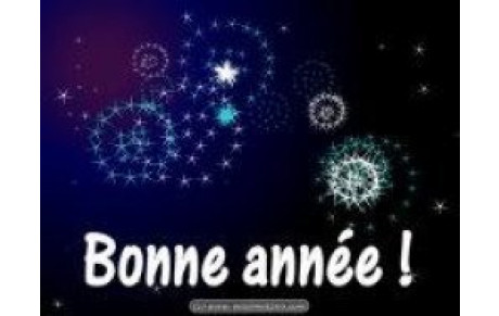 BONNE ANNEE 2010